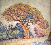 Paul Signac, Pine